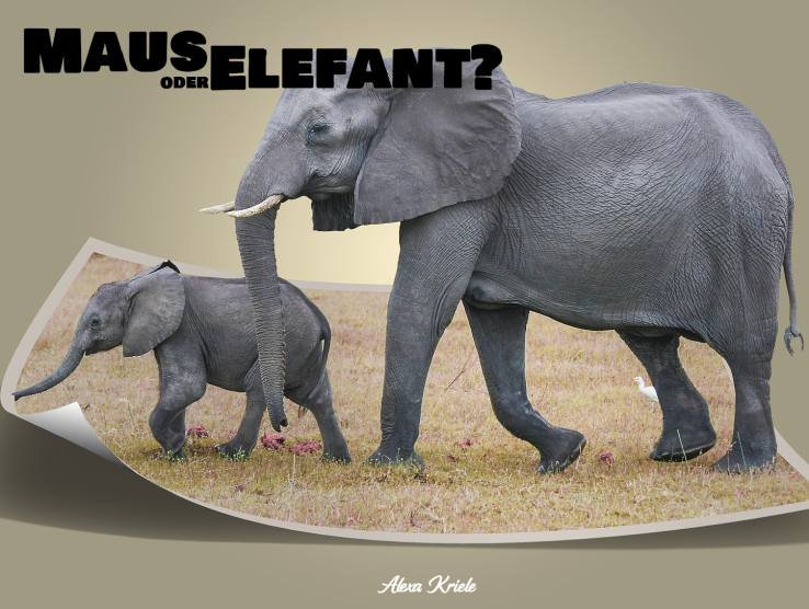 Maus oder Elefant?